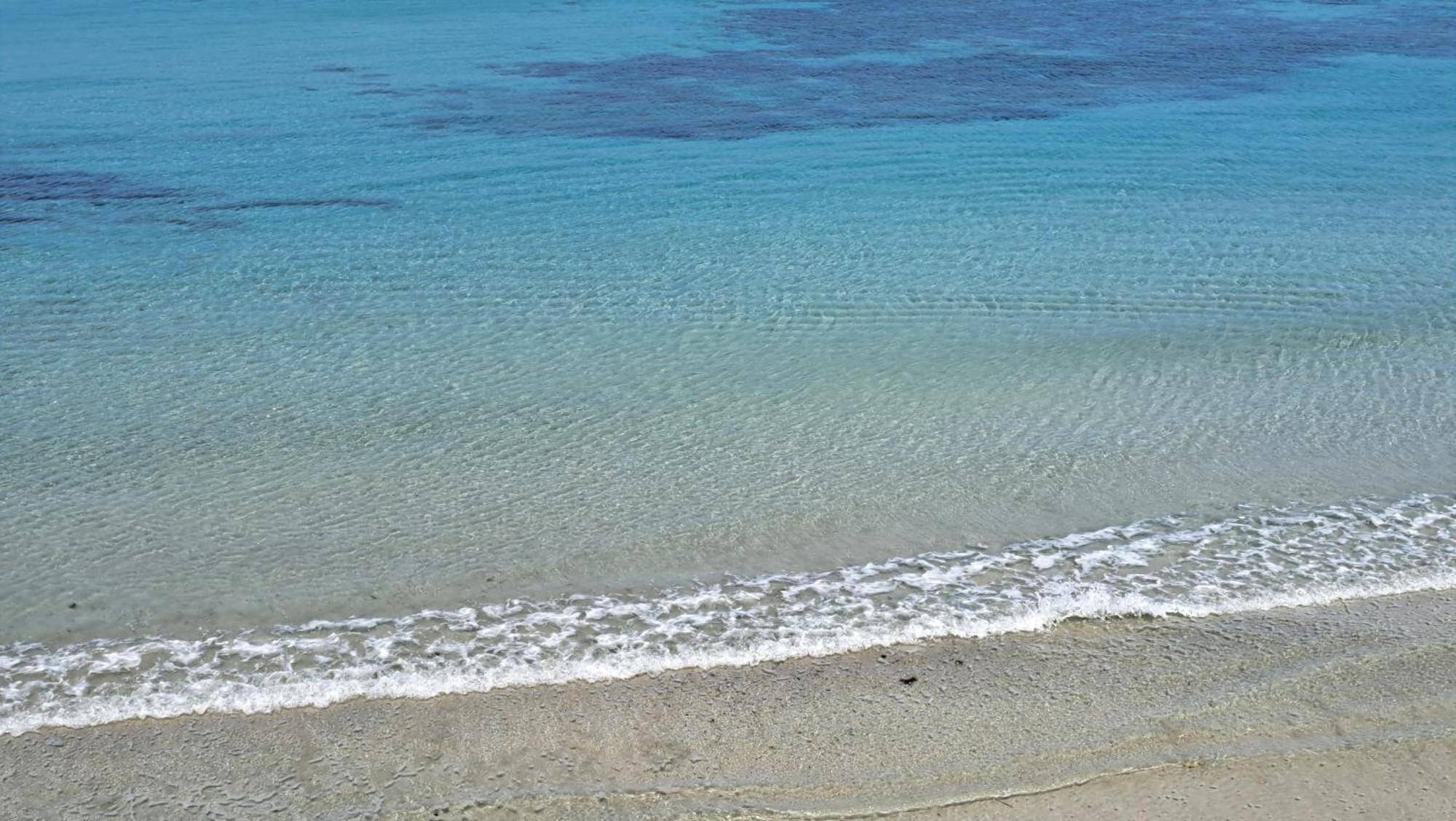 La Casa Di Paoletta A Due Passi Dal Mare Daire Trapani Dış mekan fotoğraf